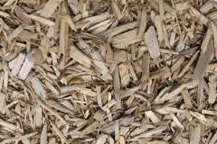 biomass boilers Ladycross